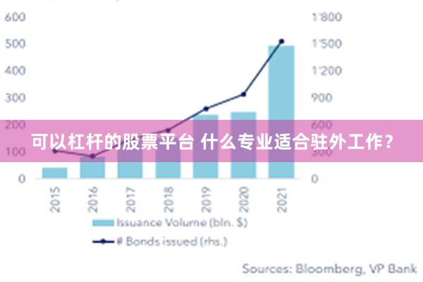 可以杠杆的股票平台 什么专业适合驻外工作？