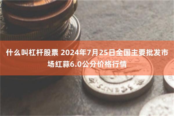 什么叫杠杆股票 2024年7月25日全国主要批发市场红蒜6.0公分价格行情