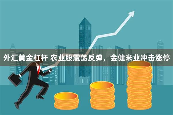 外汇黄金杠杆 农业股震荡反弹，金健米业冲击涨停