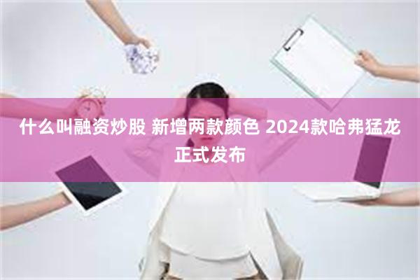 什么叫融资炒股 新增两款颜色 2024款哈弗猛龙正式发布