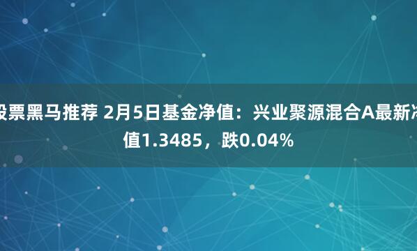 股票黑马推荐 2月5日基金净值：兴业聚源混合A最新净值1.3485，跌0.04%