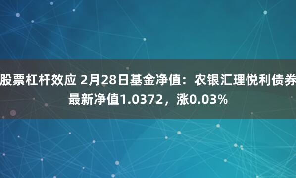 股票杠杆效应 2月28日基金净值：农银汇理悦利债券最新净值1.0372，涨0.03%