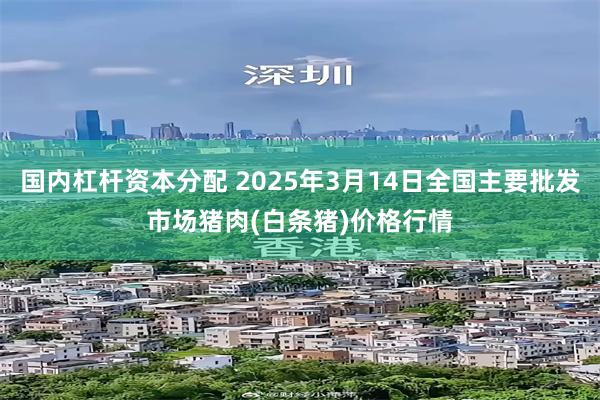 国内杠杆资本分配 2025年3月14日全国主要批发市场猪肉(白条猪)价格行情